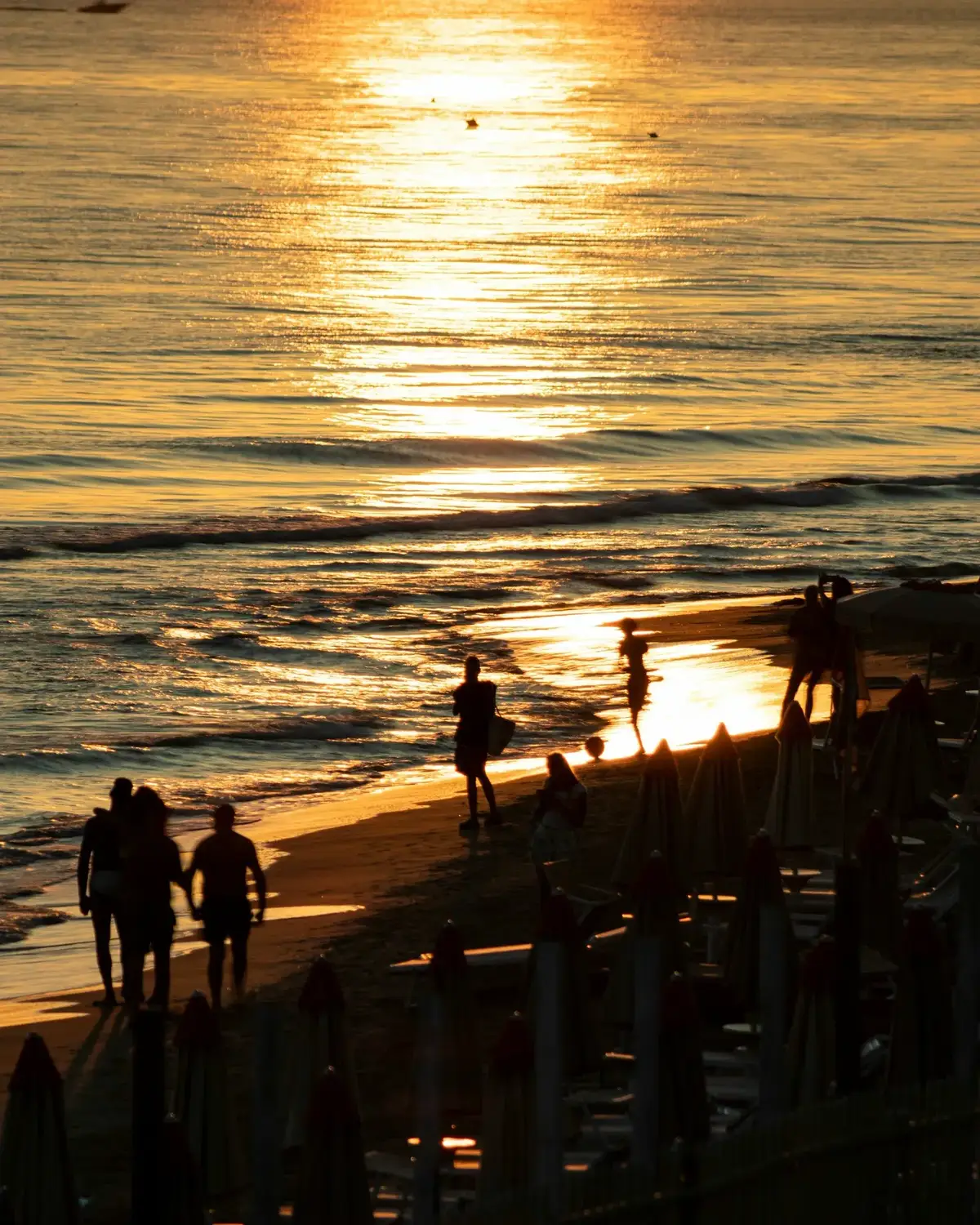 Sunset boat excursions