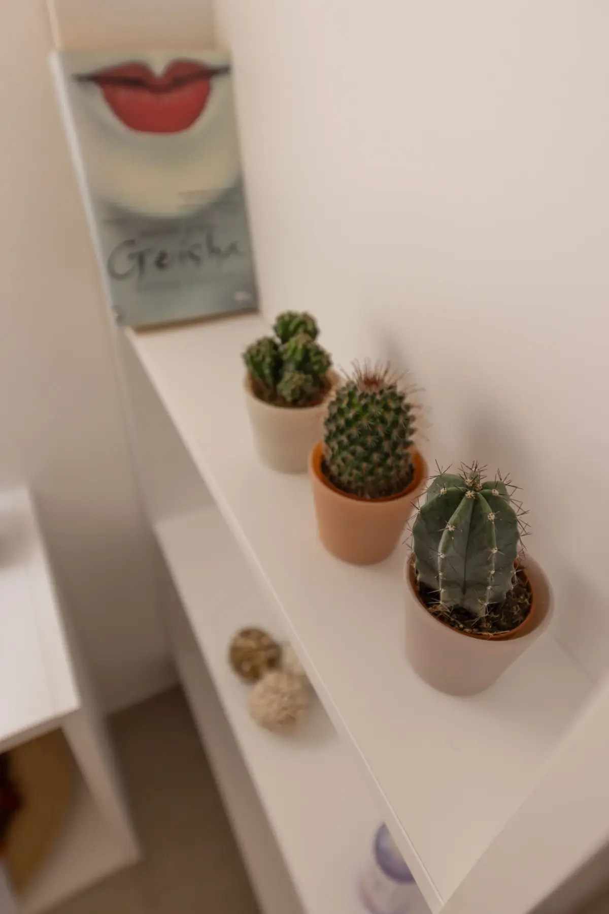 Trullius Apartment — photo gallery